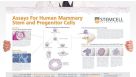 Assays for Human Mammary Stem and Progenitor Cells