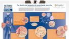 The Identity and Properties of Mesenchymal Stem Cells