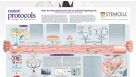 Roles for MSCs as Medicinal Signaling Cells