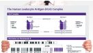 The Human Leukocyte Antigen (HLA) Complex