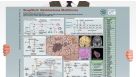 SnapShot: Glioblastoma Multiforme