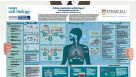 Cellular Organization and Biology of the Respiratory System
