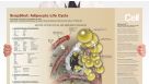 SnapShot: Adipocyte Life Cycle