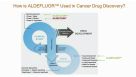 ALDH+ Cancer Precursor Cells in Drug Response Prediction