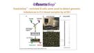 Enhance Sensitivity of Downstream Assays with Highly Purified Cells for Multiple Myeloma and CLL Research