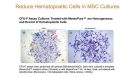 Tips & Techniques for Highly Enriched Mouse MSC Cultures As Early As Passage 0