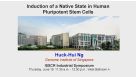 ISSCR 2014 Innovation Showcase - Induction of a Native State in Human Pluripotent Stem Cells