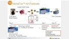 Anticipating Cytopenia: In Vitro Methods for Hematotoxicity Testing