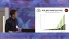 Nature Research Round Table: HLA Typing Considerations for Human Pluripotent Stem Cell Banking