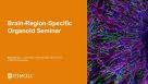 Building Brain Organoids and AssemBloids™ to Study Human Development and Disease