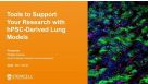 hPSC-Derived Lung Models as Tools for Respiratory Research