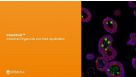 Intestinal Organoids: Improved Tools and In Vitro Models for Drug Development