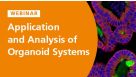 Applications and Analysis of Organoids