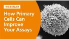 How Primary Cells Can Improve Your Cell-Based Assays