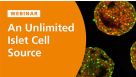 An Unlimited Islet Cell Source