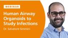 Human Airway Organoids to Study Host-Pathogen Interactions