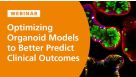 Optimizing Organoid Models to Better Predict Clinical Outcomes