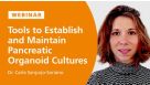 Tools to Establish and Maintain Pancreatic Organoid Cultures