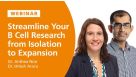 Streamline Your B Cell Research from Isolation to Expansion