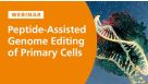 Peptide-Assisted Genome Editing of Primary Cells
