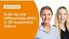 How to Scale Up and Differentiate hPSCs in 3D Suspension Culture
