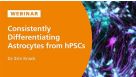 Consistently Differentiating Astrocytes from Human Pluripotent Stem Cells