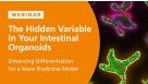 The Hidden Variable in Your Intestinal Organoids