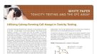 Toxicity Testing and the CFC Assay